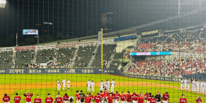 잠실야구장_블루석_시야